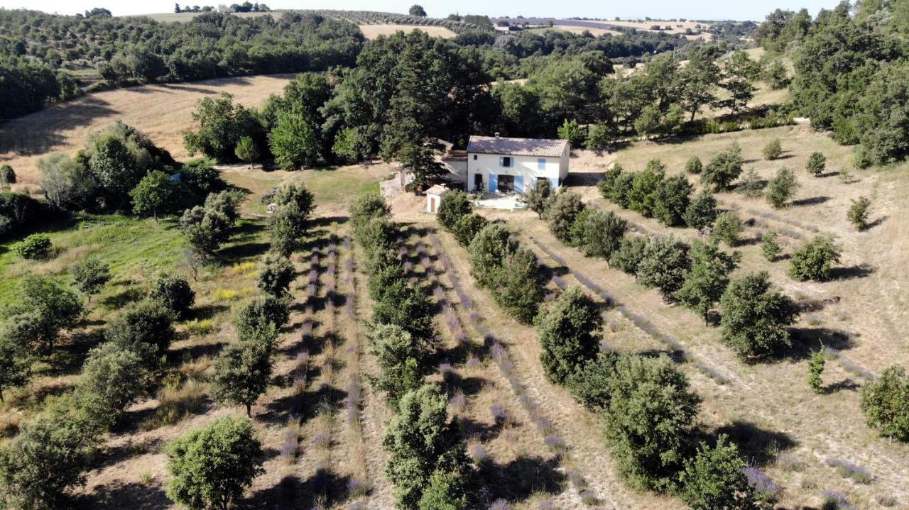 Maison d'hôtes du Grand Chêne Valensole Exterior foto
